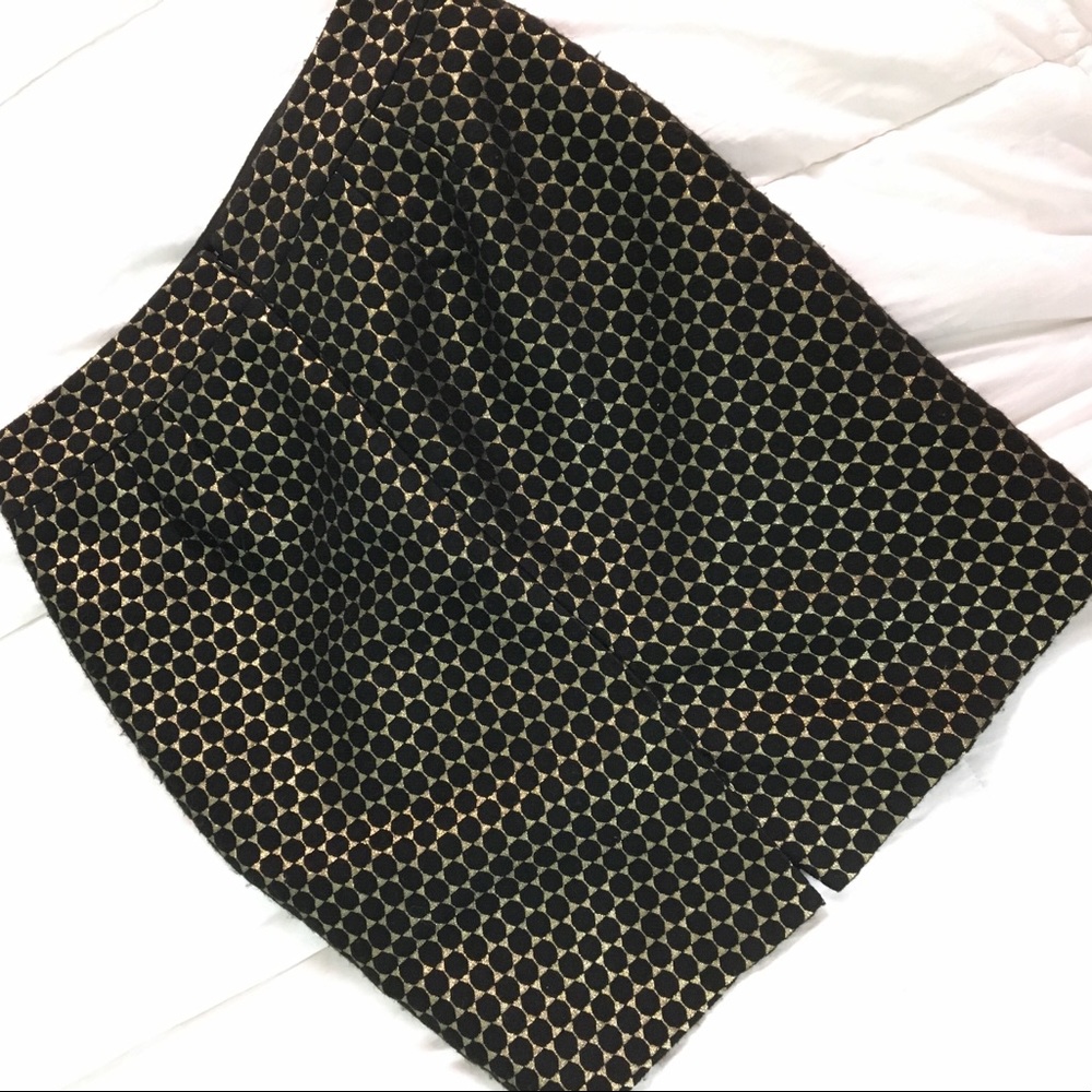 Ann Taylor Skirt Size 4P